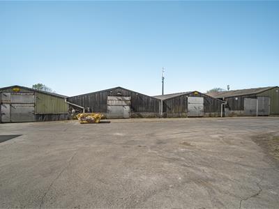 Picture 19